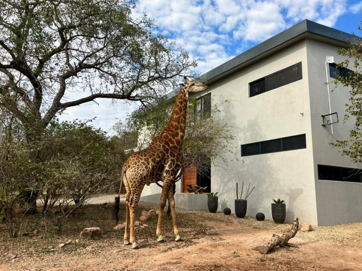 Birdsong Kruger Villa Marloth Park Exterior photo